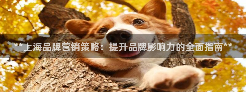 必赢这个平台怎么样可靠吗