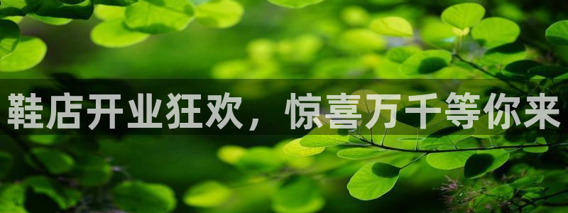 必赢net.95