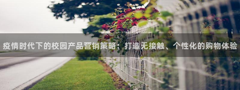 必赢网站有哪些
