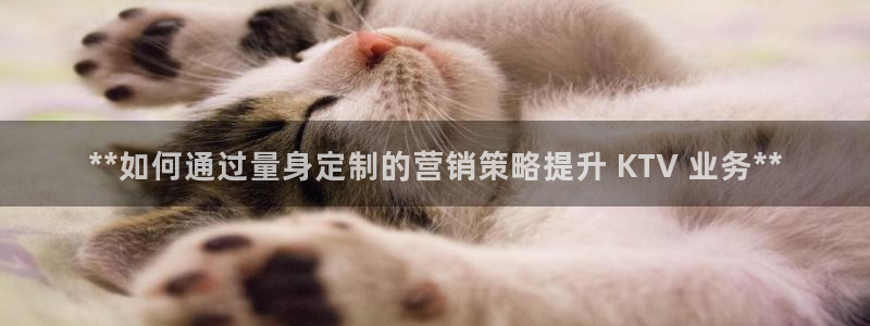 必赢图片