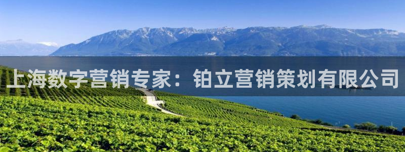 必赢科技北京有限公司