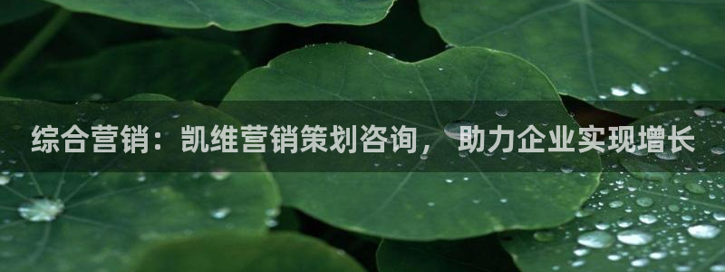 必赢网址手机主页