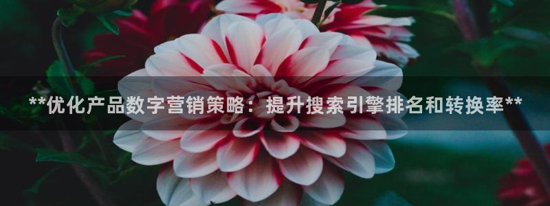 必赢棋盘官网版
