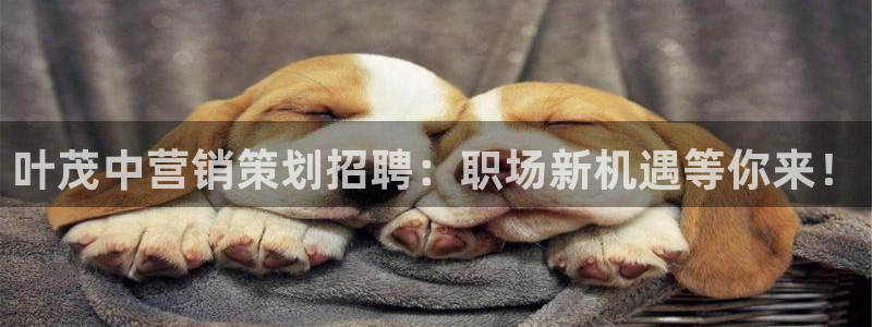 必赢官网网址8873