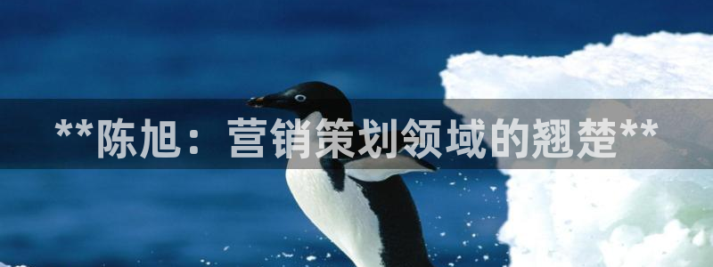必赢平台网