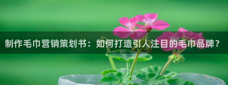 必赢手机app下载 最新版安卓苹果