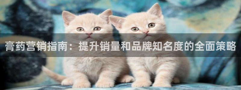 必赢官网