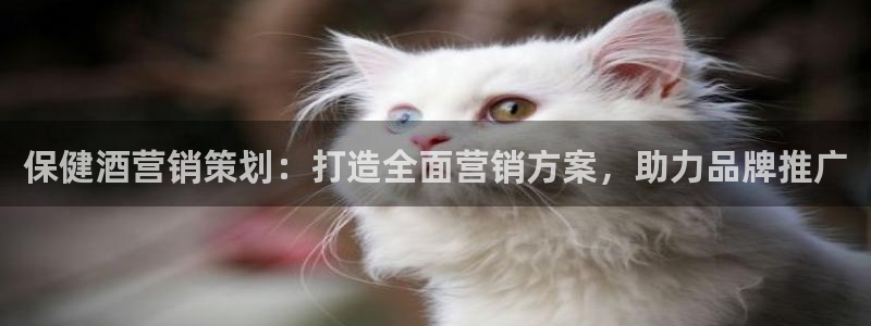 776net必赢官网