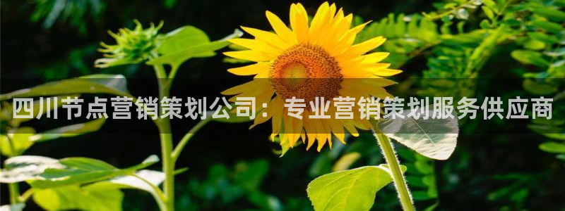 必赢国际437官方