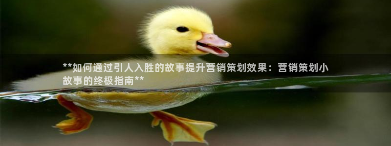 必赢72882网址