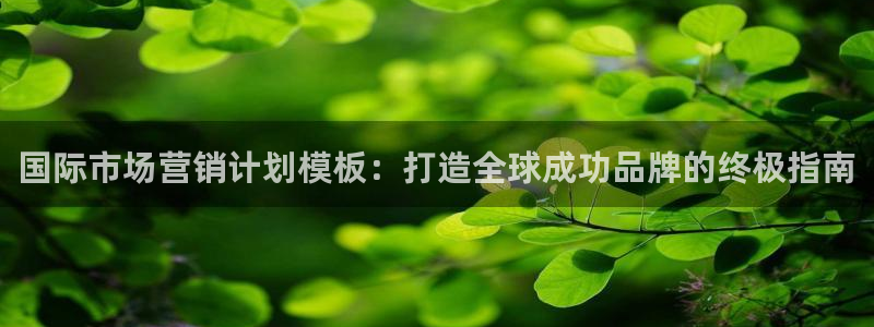 必赢网站是哪一个