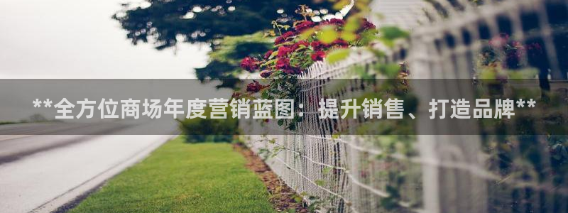 必赢app是干什么的