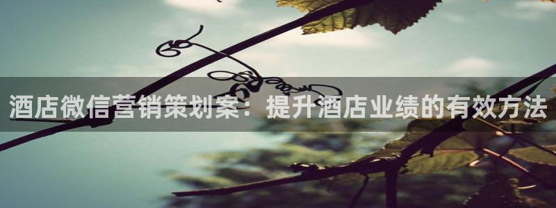 必赢是真的吗