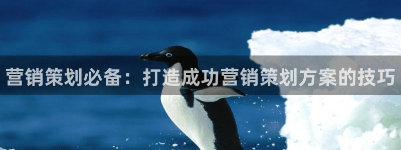 必赢线上网址