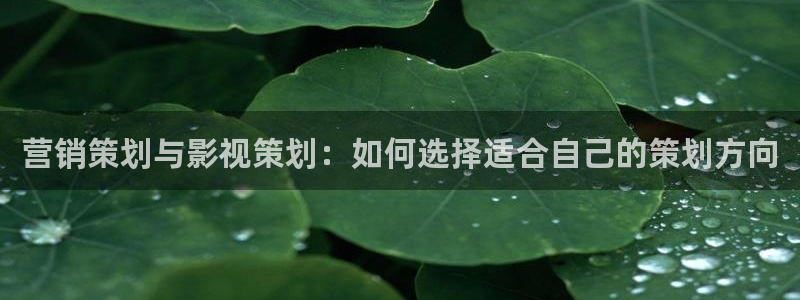 必赢官网下载安装