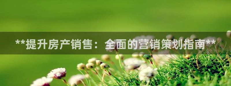 必赢下载安卓版官网