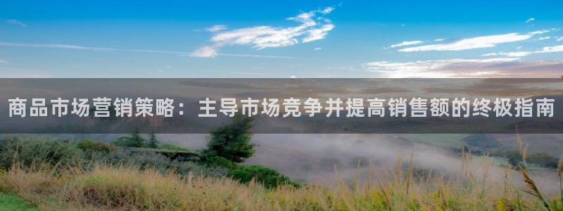 必赢国际437怎么样