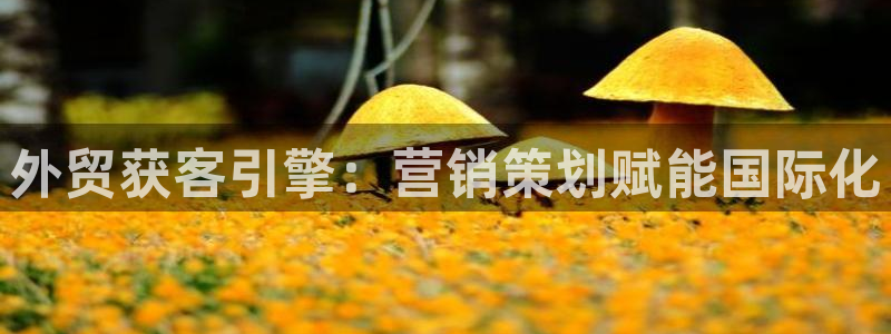 必赢这个软件怎么样