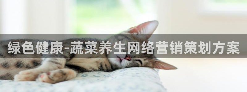 必赢网站是哪一个