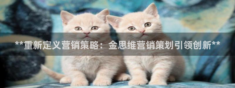 必赢国际437app下载