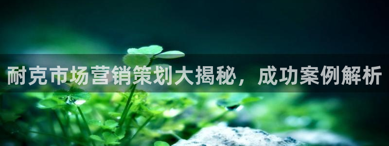 必赢线上网址是多少