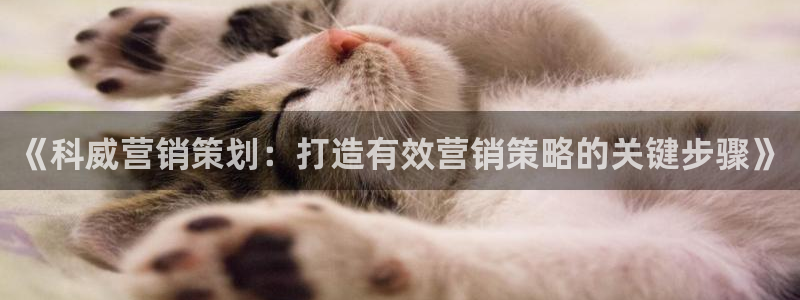 必赢国际游戏登录