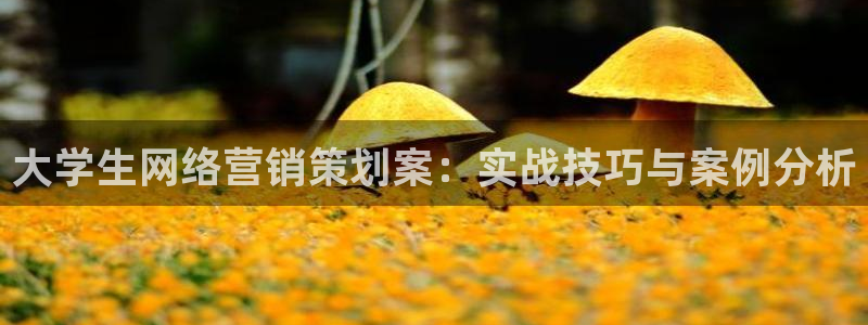 9965必赢棋官方网站怎么样