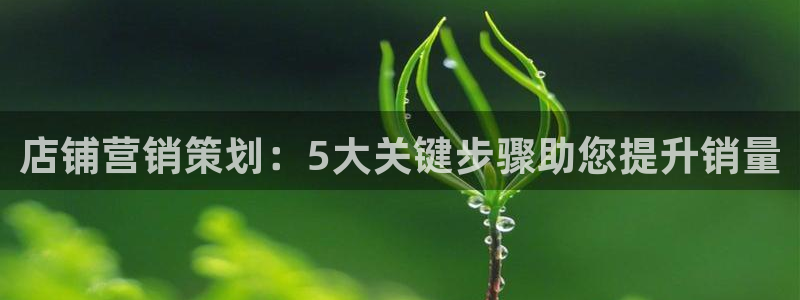 必赢下载安卓版