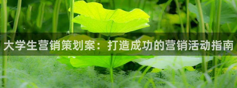 必赢手机app下载最新版安卓苹果