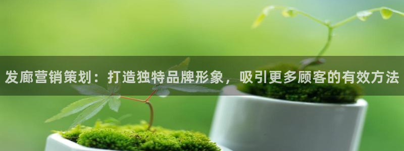 必赢科技中国有限公司
