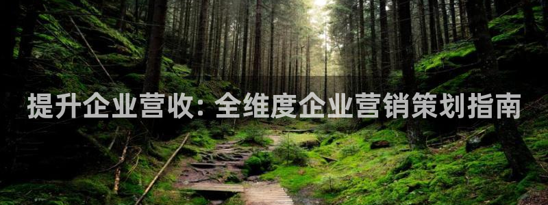 必赢国际437a：提升企业营收