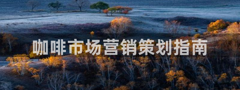 9965必赢游戏特色：咖啡市场