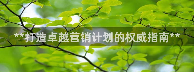 必赢3003am：**打造卓越