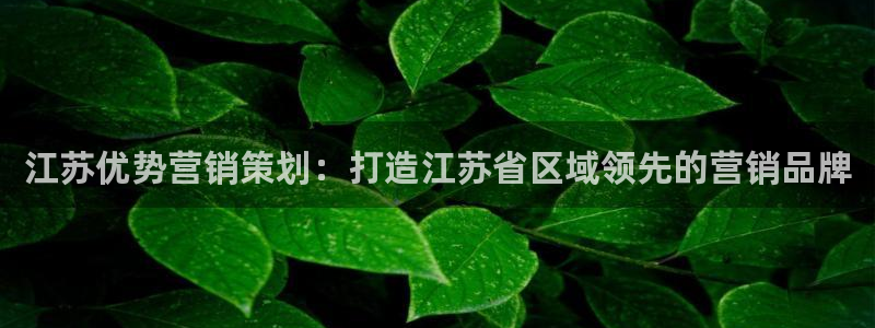 必赢这个平台怎么样