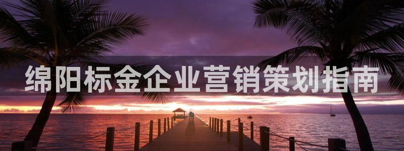 必赢客软件