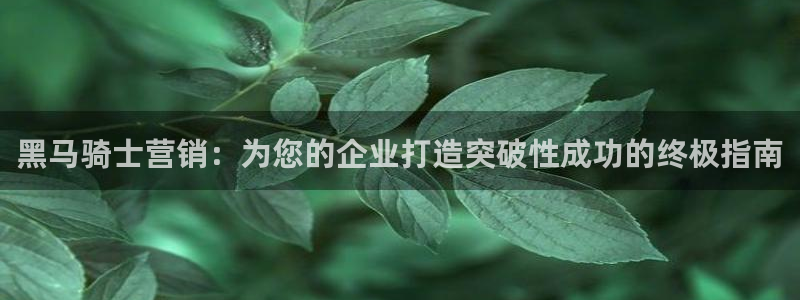 必赢app是干什么的：黑马骑士