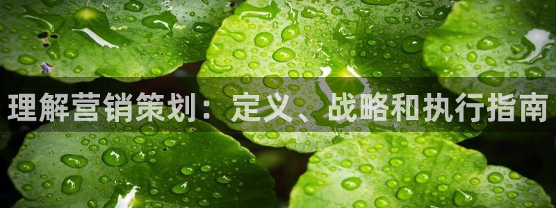 必赢手机app下载最新版安卓苹