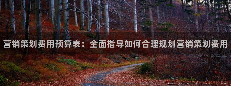 必赢网站：营销策划费用预算表：