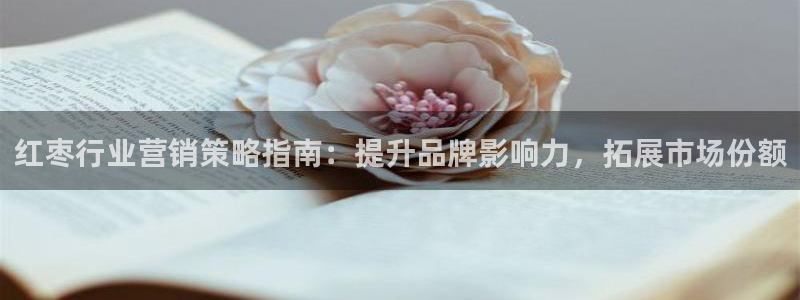 必赢网站mg冰球突破豪华版：红